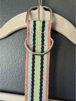 Striped Fabric Belt with Metal Buckle and Eyelets thumbnail 2