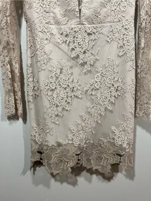 SAYLOR Leondra Nude Lace Long-Sleeve Mini Dress Size XS thumbnail 4