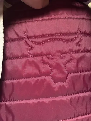 Under Armour Project Rock Brahma Backpack in maroon and pink thumbnail 7