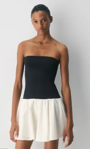 Aritzia Private Poplin Dress  thumbnail 1