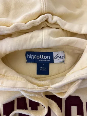 Big Cotton Minnesota Hoodie thumbnail 2