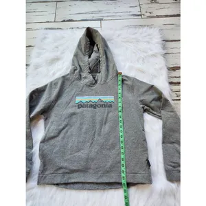 Patagonia -859 Pastel Logo Uprisal‎ Hoddie - grey - Medium thumbnail 7