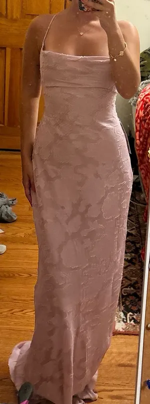 celena maxi dress light pink burnout princess polly thumbnail 3