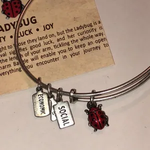 Alex and Ani Silver Tone Ladybug Charm Bracelet thumbnail 2