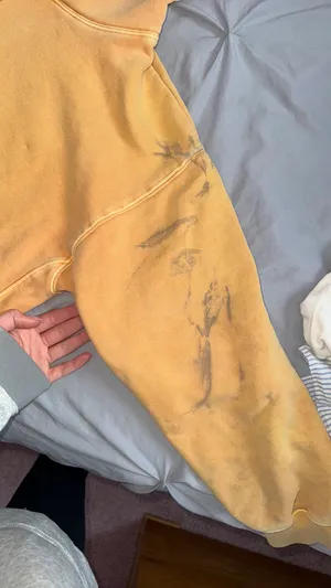 Aritzia Sweatshirt thumbnail 2