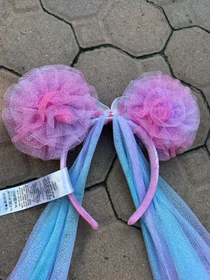 Disneyland Ears  thumbnail 4