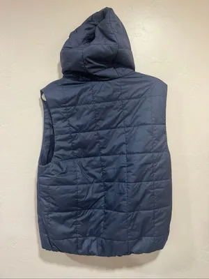 Patagonia Sunken Blue Women's Light Gust Hooded Vest thumbnail 6