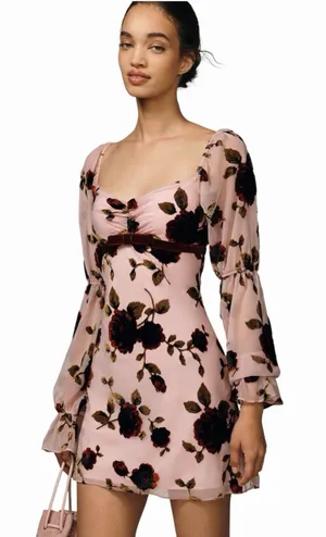 Avec Les Filles Whimsigoth Floral Velvet Burnout Mini Dress Size 8 Dark Coquette thumbnail 1