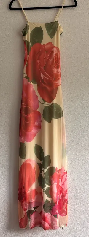 Sincerely Jules NWT Rose Floral Mesh Maxi Dress Cream Pink Size S thumbnail 1
