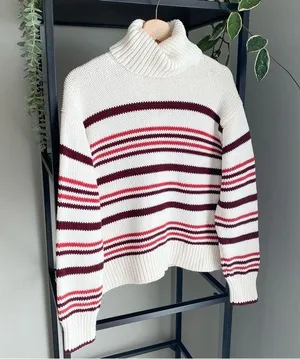 Madewell Cotton Striped Turtleneck Sweater *Flawed* thumbnail 1