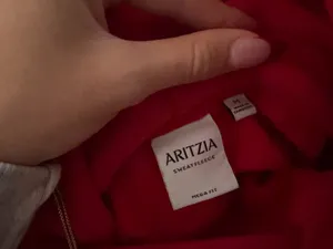 Red Aritzia Hoodie thumbnail 3