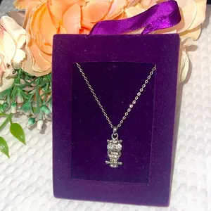 New Super Cute Small Shiny Sparkly Silver Jeweled Owl Chain Necklace W/ Velvet thumbnail 1