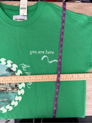 Anthropologie Celandine XXS/XS NEW Crew-Neck Graphic Sweatshirt Green Oversized thumbnail 6