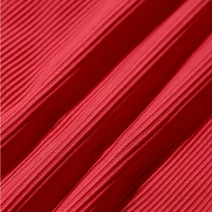 BERLOOK Red Ribbed High Cut Wide Waistband Bikini Bottom ONLY 07 thumbnail 8