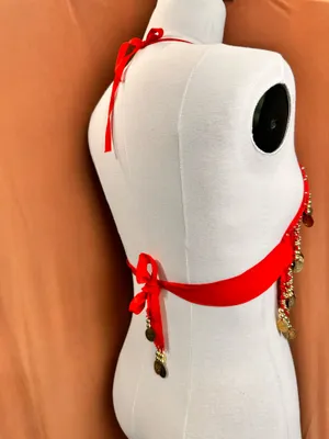 Belly Dance Costume Size M-L Red Golden Coins Halter Top & Hip Scarf thumbnail 10