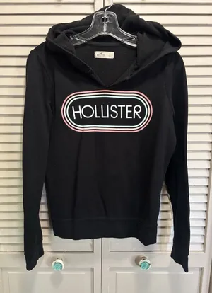Hollister‎ Lightweight Hood Sweatshirt Size S Long Sleeve Graphic Logo Casual thumbnail 1