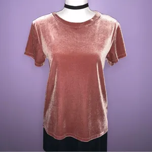 Abercrombie & Fitch Mauve Velour Top thumbnail 2
