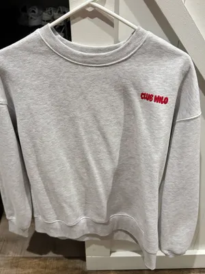 Wilo TJ Maxx Sweatshirt Gray thumbnail 1