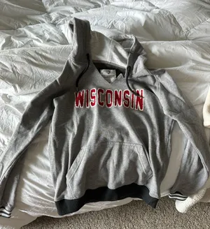 Wisconsin Hoodie Gray thumbnail 1