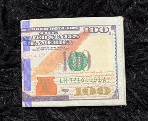 100 dollar bill themed wallet thumbnail 1