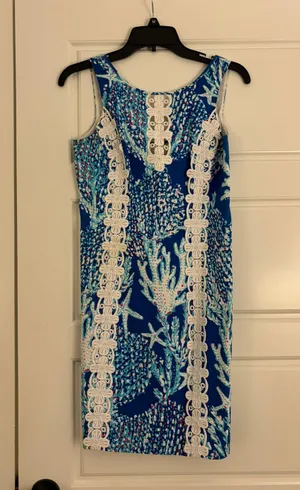 Ember Shift Dress thumbnail 1