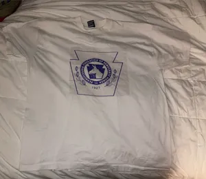 Fruit of the Loom Political Pennsylvania Federation of Democratic Women screen print T-Shirt XXL thumbnail 1