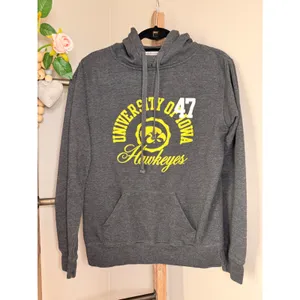 Jones & Mitchell University of Iowa Hawkeyes Hoodie Grey Glitter Hearts Large thumbnail 2