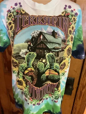 Liquid Blue Terrapin Station Grateful Dead Tie Dye T Shirt Medium Turtle Graphic thumbnail 4