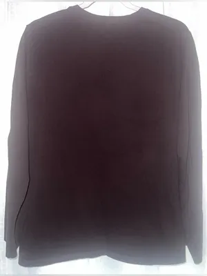 EVERLANE THE SLIM LONG-SLEEVE CREW IN ESSENTIAL COTTON dark chocolate xxl thumbnail 5