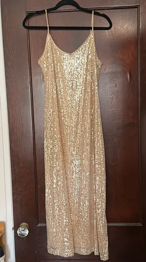 Champagne Sequin Dress thumbnail 1