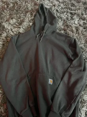 Carhartt Hoodie thumbnail 1