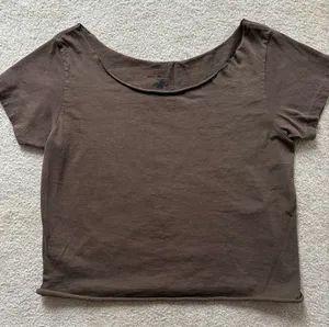 Brandy Melville Brown Crop Top thumbnail 1