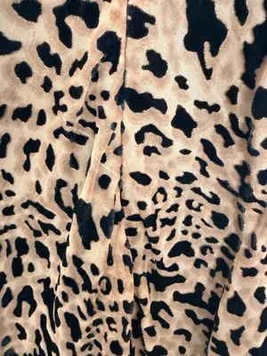 Forever 21 Leopard Print Velvet Burnout Mini Slip Dress thumbnail 6
