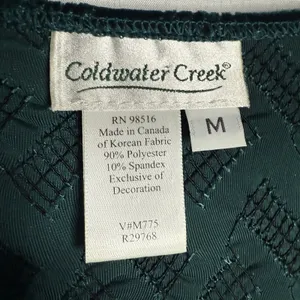VTG Coldwater Creek Velvet Maxi Dress M Emerald Whimsigoth Renaissance Romantic thumbnail 8