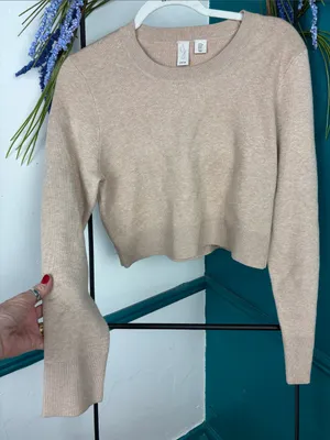 Joie Cropped Crewneck Sweater in Light Beige thumbnail 4