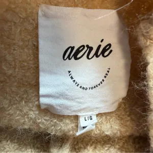 Aerie Teddy Boucle Sweater Womens L Tan Camel Fuzzy Oversized V Neck Wool Blend thumbnail 6