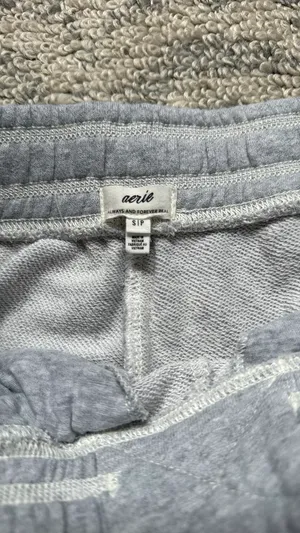 Grey Aerie Sweatpants thumbnail 2