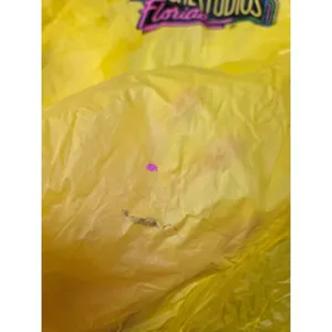 Vintage Universal Studios Hollywood Yellow Poncho Adult One Size Fits All thumbnail 2