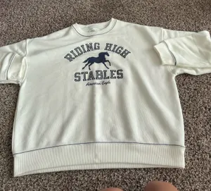 American Eagle Outfitters Sweatshirt thumbnail 1