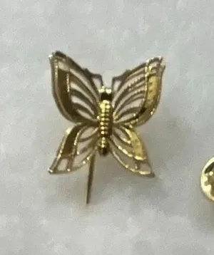 Lot of 2 lapel hat pins. Vintage 80’s thumbnail 1