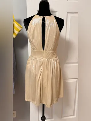 Altar’d State Shimmery Champagne Sleeveless Fit & Flare‎ Dress thumbnail 2