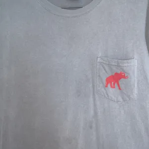Comfort Colors large Alabama t-shirt thumbnail 4