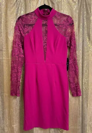 Lulus Oretha Fuchsia Lace Long Sleeve Bodycon Dress Small NWT thumbnail 1