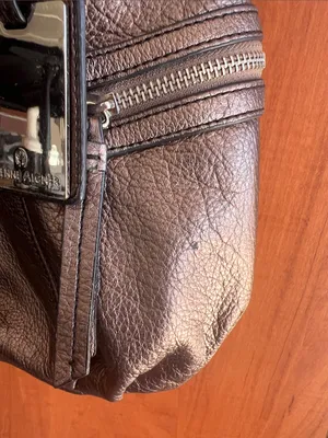 Etienne Aigner Metallic Bronze Leather Shoulder Bag with Tag thumbnail 13