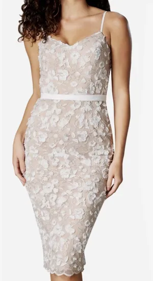 Dress The Population | Emma Embroidered Body-Con‎ Midi Dress thumbnail 1