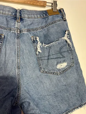 American Eagle Outfitters Light Blue 90s boyfriend short size 14 thumbnail 11