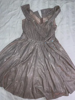 Sparkling Rose Gold Fit-and-Flare Party Dress thumbnail 2