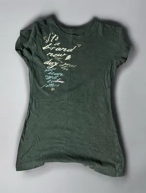 American Eagle Outfitters Dark Green Short Sleeve Graphic Tee 543 thumbnail 1