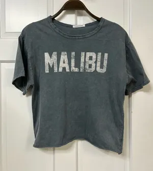 Caution To The Wind Washed Charcoal Cropped Crewneck Tee thumbnail 1