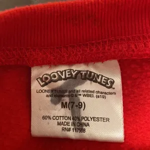 Looney Tunes Classic Character Sweatshirt thumbnail 4